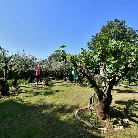 Apartment Oleandar Poreč