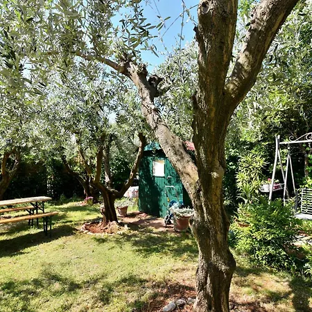 Oleandar Apartment