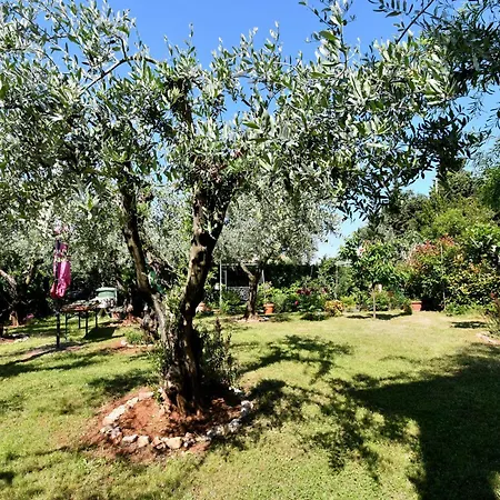Apartment Oleandar Poreč